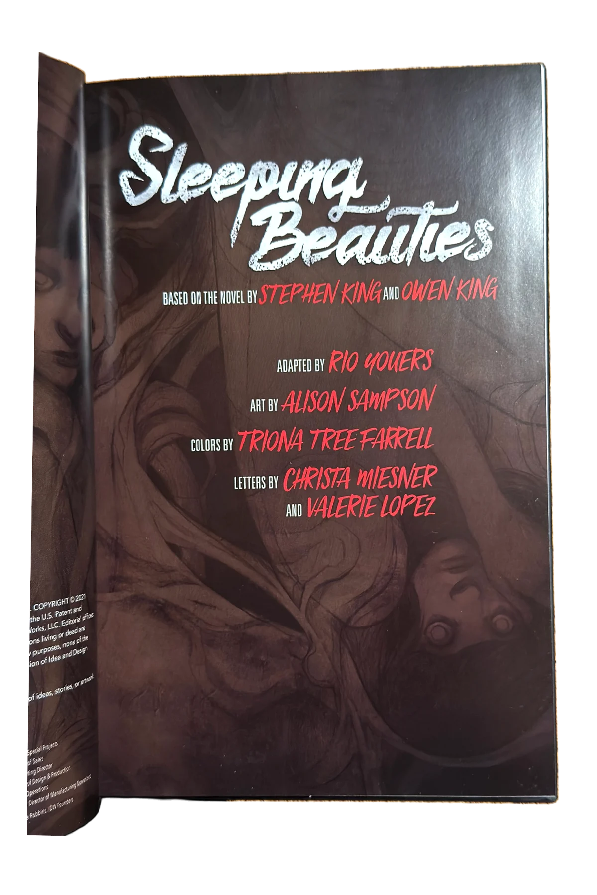 Sleeping Beauties: A Graphic Novel Part I Title Page