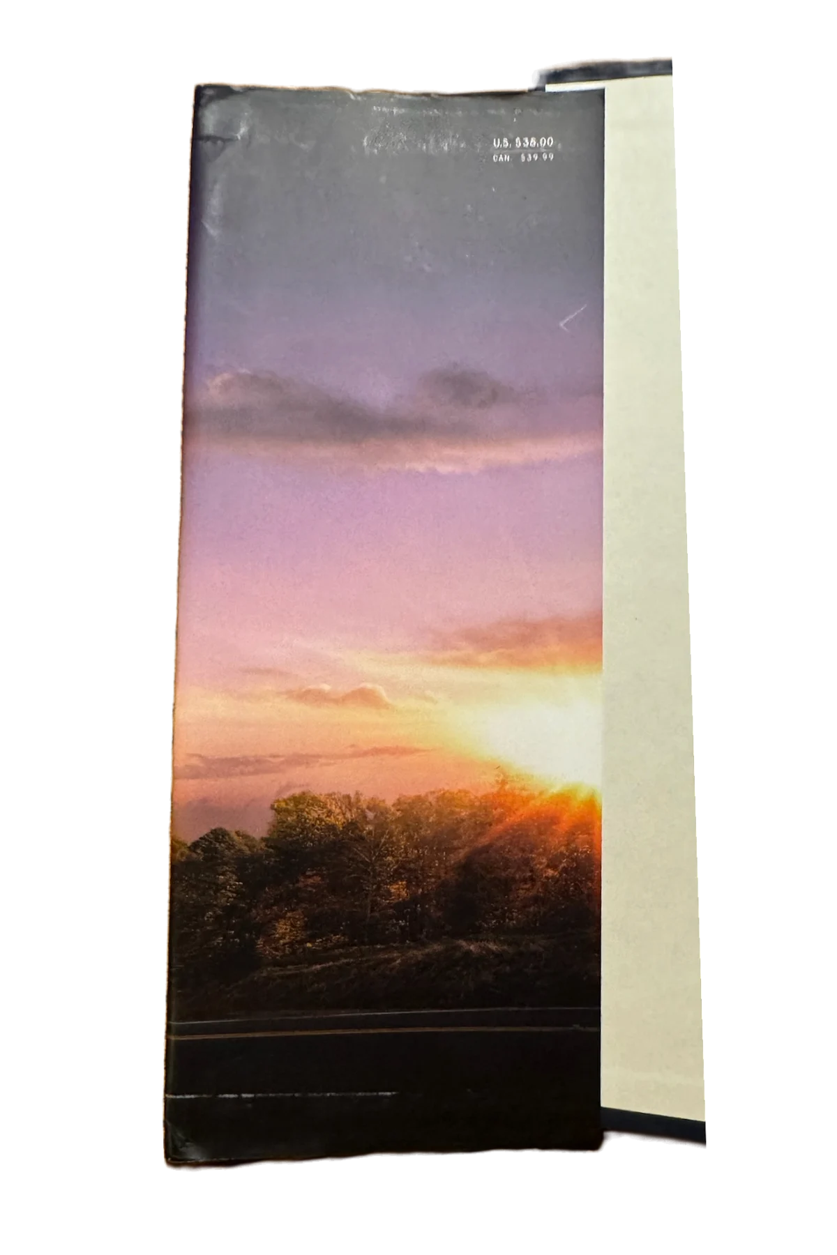 Under the Dome Front Dust-Jacket Flap