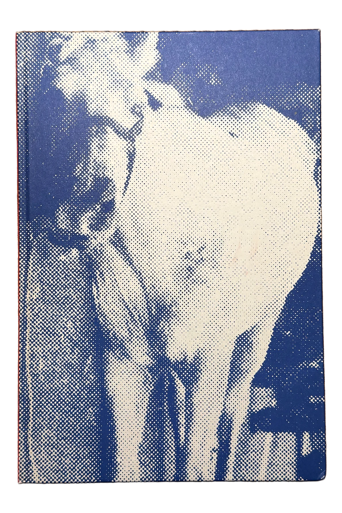 My Pretty Pony Front Dust-Jacket Flap